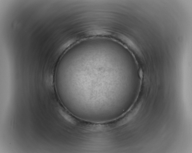 X0000115770881200911201216