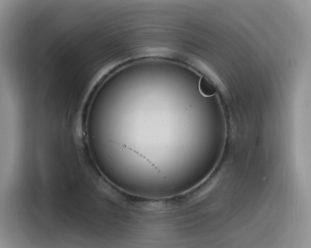 X0000115770883200911201216