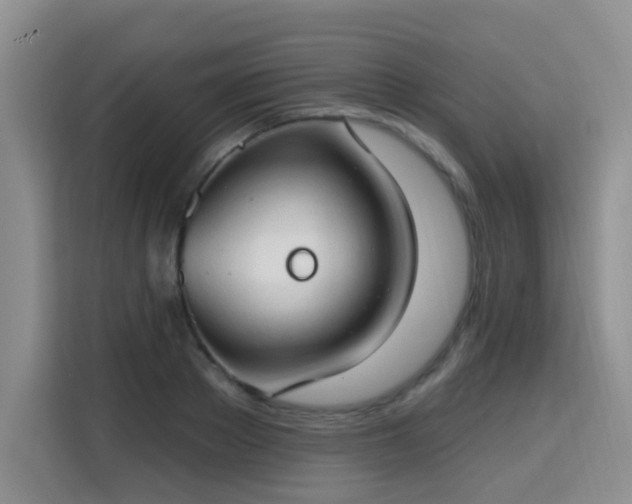 X0000115770889200911201216