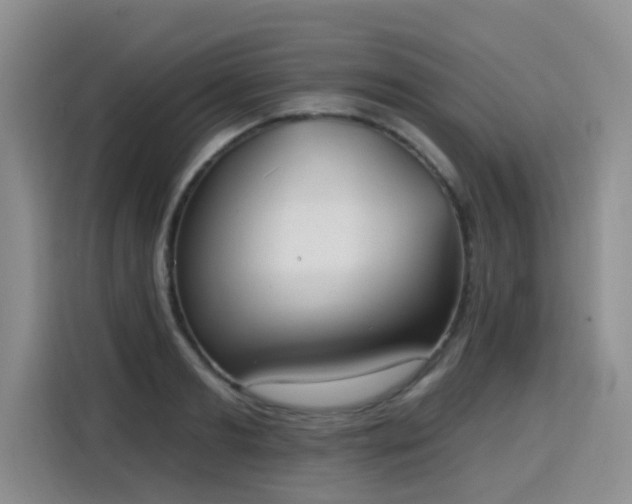 X0000115770893200911201216