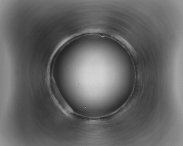 X0000115770894200911201216