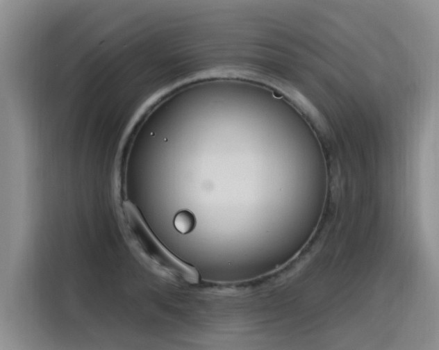 X0000115770896200911201216