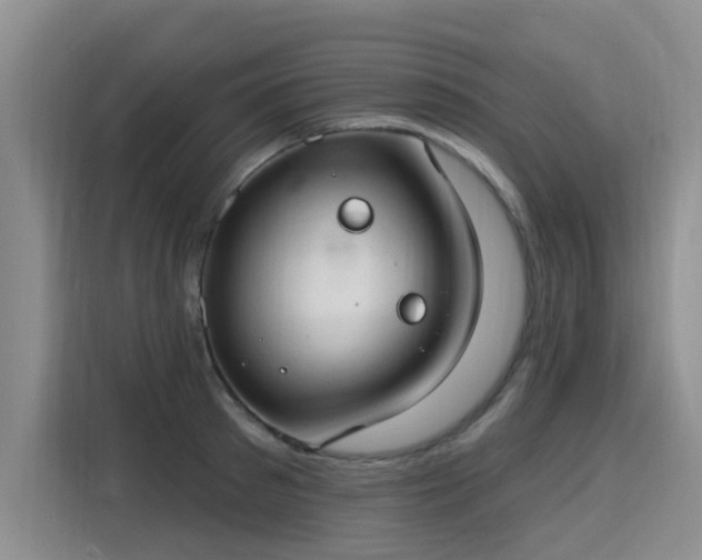 X0000115770897200911201216