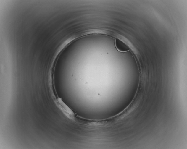 X0000115770898200911201216