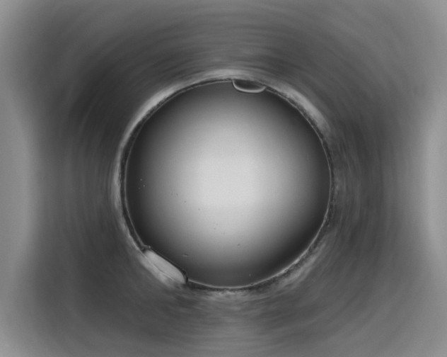 X0000115770902200911201216