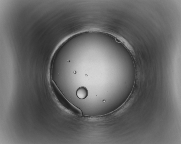 X0000115770904200911201216