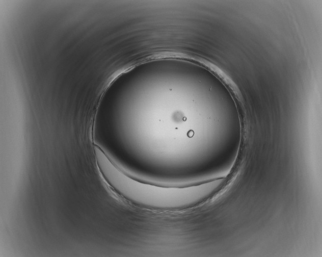 X0000115770905200911201216