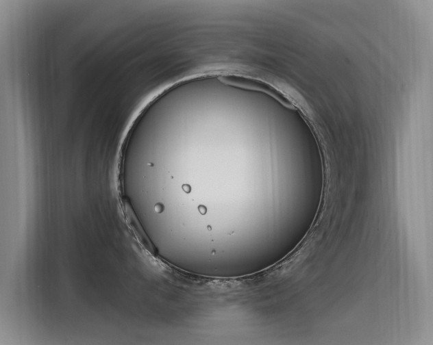 X0000115770912200911201216