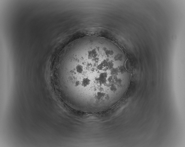 X0000115770913200911201215