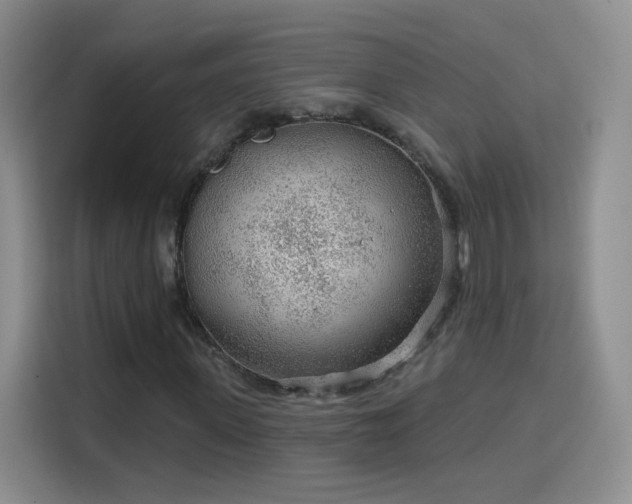 X0000115770915200911201215