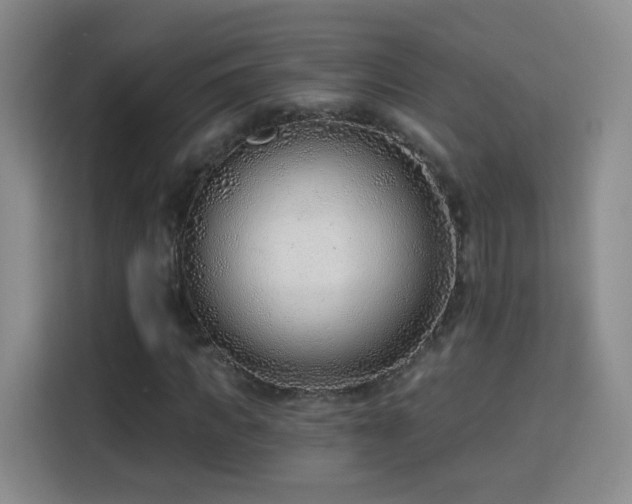 X0000115770917200911201215
