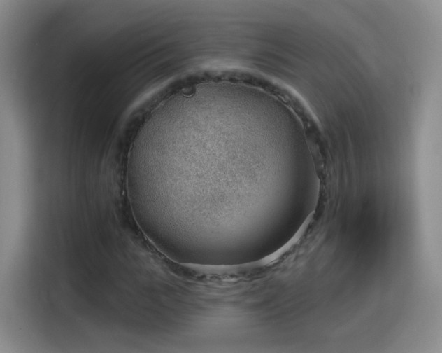 X0000115770919200911201215