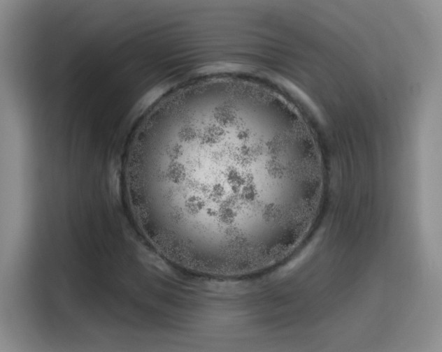 X0000115770921200911201215