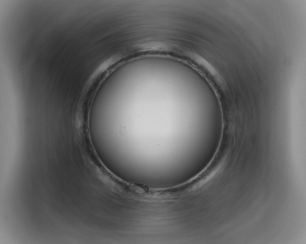 X0000115770922200911201215
