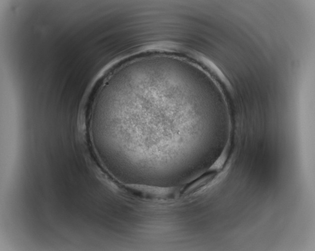 X0000115770923200911201215