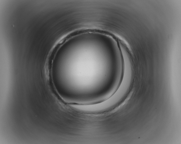 X0000115770925200911201215