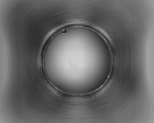 X0000115770927200911201215