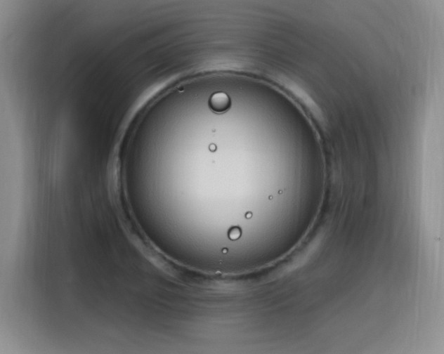 X0000115770933200911201215