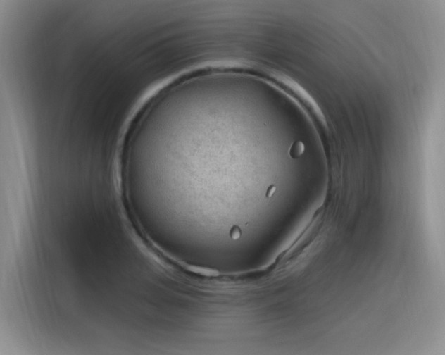 X0000115770935200911201215