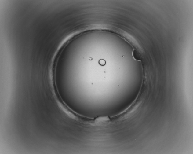X0000115770942200911201216