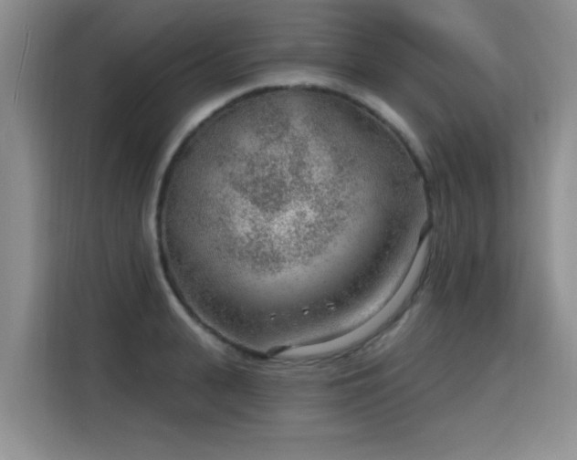 X0000115770943200911201216
