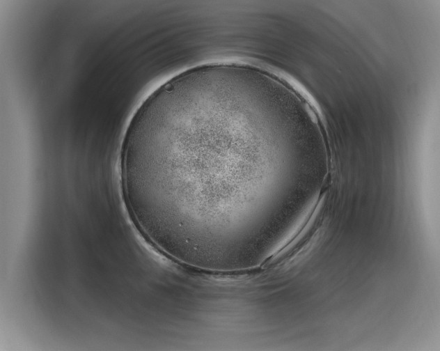 X0000115770951200911201216