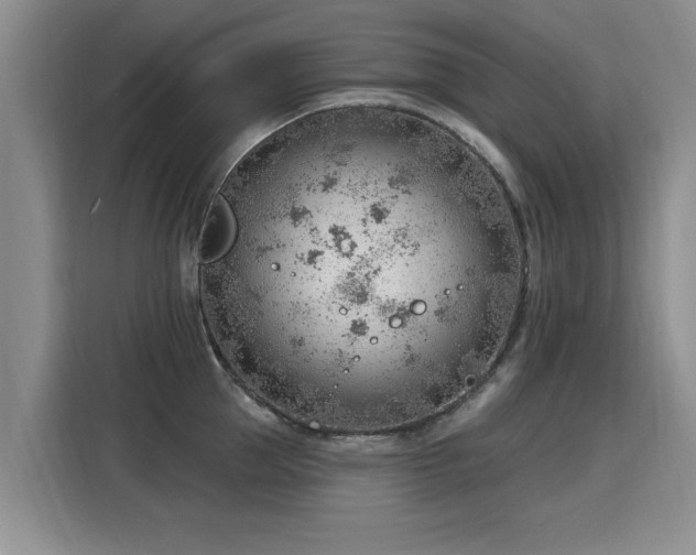 X0000115770953200911201216