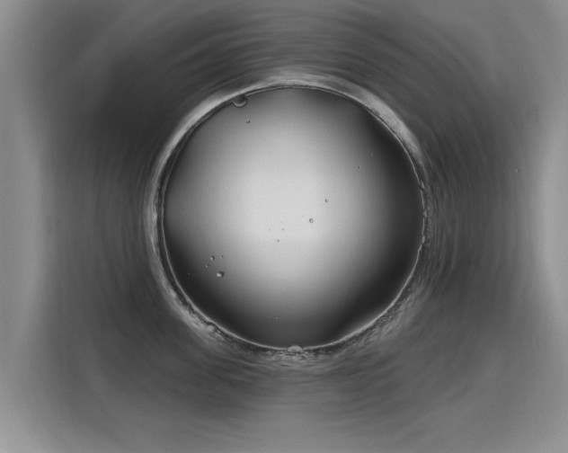 X0000115770955200911201216