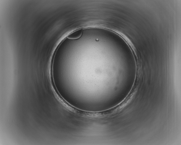 X0000115770957200911201216