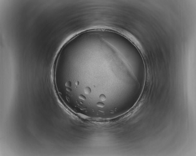 X0000115770958200911201216