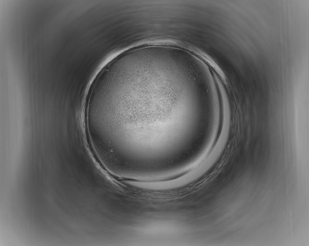 X0000115770959200911201216