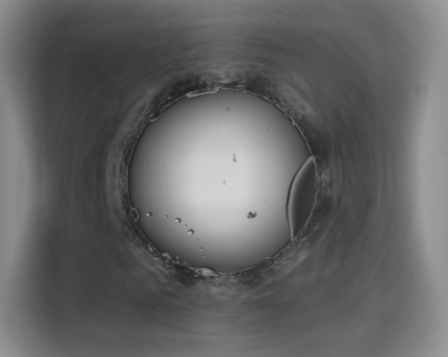 X0000115770961200911201215