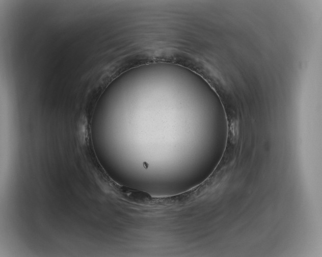 X0000115770963200911201215