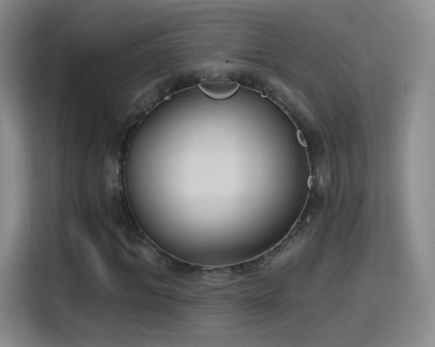 X0000115770964200911201215