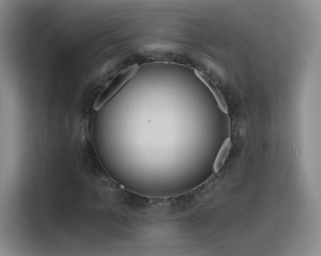 X0000115770965200911201215
