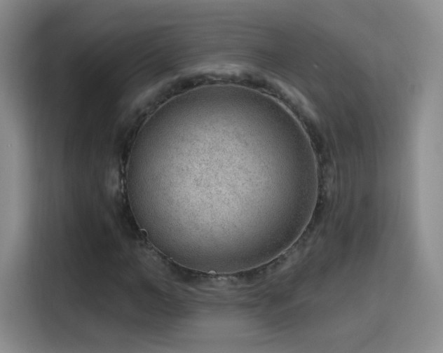 X0000115770966200911201215