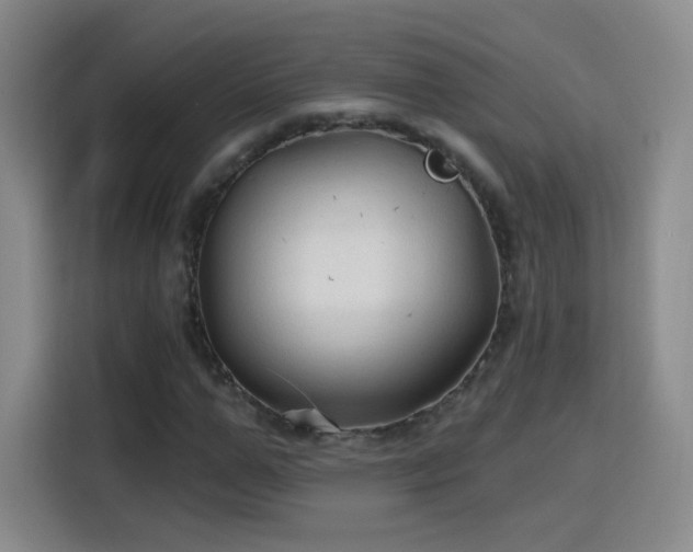 X0000115770967200911201215