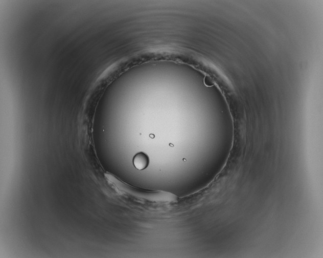 X0000115770968200911201215