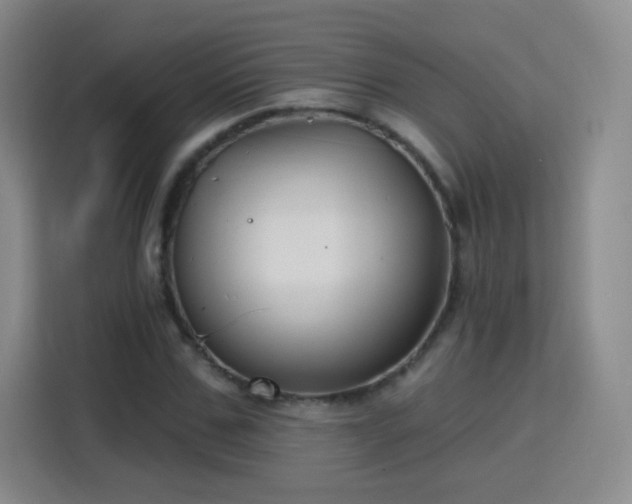 X0000115770971200911201215
