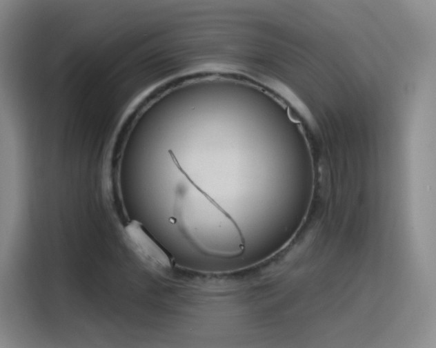 X0000115770972200911201215