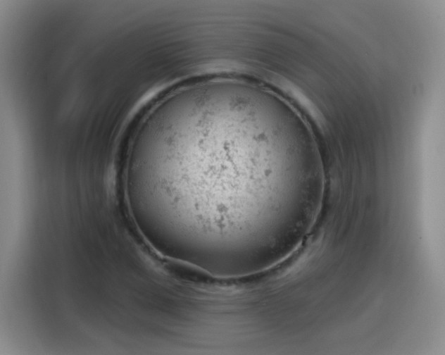 X0000115770975200911201215