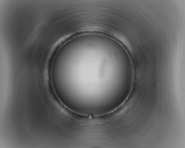 X0000115770979200911201215