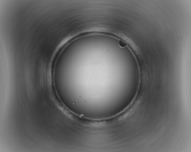 X0000115770982200911201215