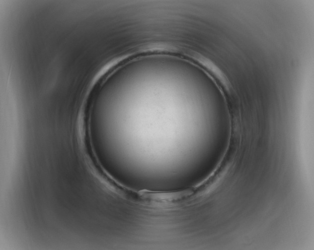 X0000115770983200911201215