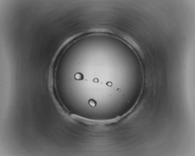 X0000115770984200911201215