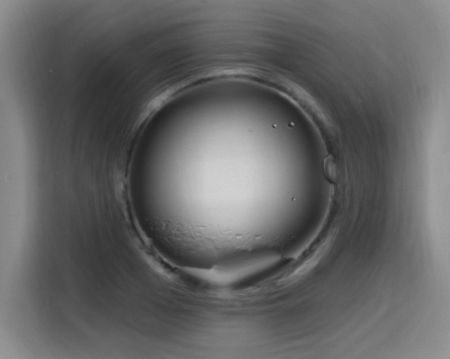 X0000115770985200911201215