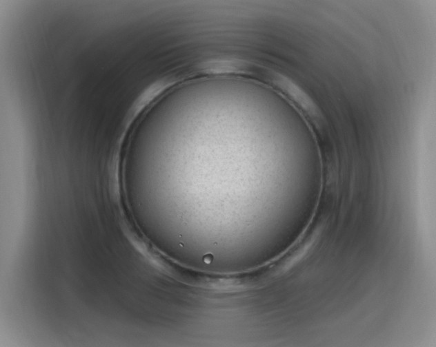 X0000115770986200911201215