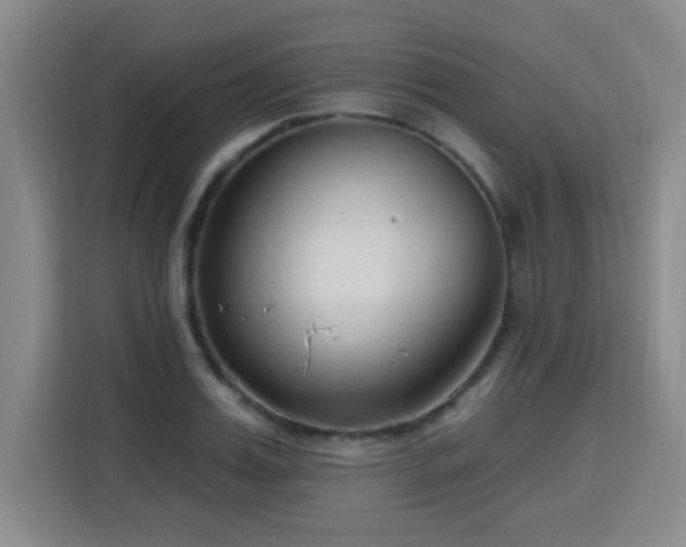 X0000115770987200911201215