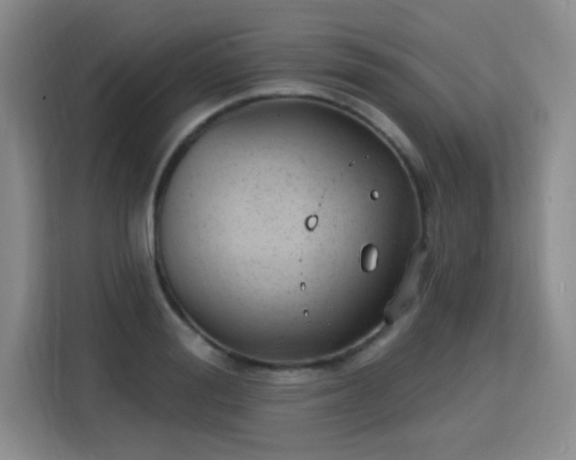 X0000115770988200911201215