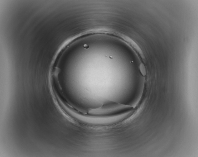 X0000115770989200911201215